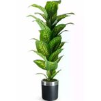 ERHAN FLOWERS ÇİÇEK & DEKORASYON Yapay Ağaç Difenbahya 170 Cm Siyah Gümüş Saksı ypy.agç.00026