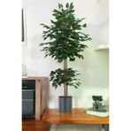 ERHAN FLOWERS ÇİÇEK & DEKORASYON Yapay Benjamin Ağacı Bambu Gövdeli Yeşil (Şik Metal Siyah Saksili) 140 Cm TYBbnj.bmb.155150413076