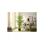 ERHAN FLOWERS erh.1580 Yapay Areka Ağacı Palmiye Ağacı Salon Bitkisi Yapay Areka 130 Cm 20 Yaprak Siyah Gold Saksı
