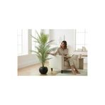 ERHAN FLOWERS erh.1588 Yapay Areka Ağacı Palmiye Ağacı Salon Bitkisi Yapay Areka 130 Cm 20 Yaprak Antrasit Küre Saksı