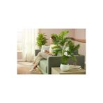 ERHAN FLOWERS erh.1757 Yapay Çiçek Areka Palmiye Ağacı 100 Cm 20 Yaprak Salon Çiçeği Yapay Bitki Saksı Beyaz Küre