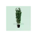 ERHAN FLOWERS erh.2005 150 Cm Yapay Bambu Agacı Yogun Yaprak Islak Doku