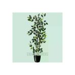ERHAN FLOWERS erh.2009 110 Cm Bambu Gövdeli Beyaz Benjamin Ficus Ağacı