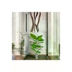 ERHAN FLOWERS erh.2111 Yapay Çiçek Difenbahya Tropik 23 Yapraklı 85 Cm Salon Çiçeği Nergiz Plastik Saksılı