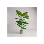ERHAN FLOWERS erh.2114 Yapay Çiçek Difenbahya Tropik 23 Yapraklı 85 Cm Salon Çiçeği Metal Saksılı