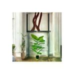 ERHAN FLOWERS erh.2115 Yapay Çiçek Difenbahya Tropik 23 Yapraklı 85 Cm Salon Çiçeği Siyah Gold Mını Darbuka Saksılı