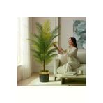 ERHAN FLOWERS ERH-A-1260 Yapay Areka Palmiyesi Siyah Gold Saksı 190 Cm