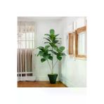 ERHAN FLOWERS ERH-A-1262 Yapay Ağac Kauçuk Bitkisi 3 Dallı 105 Cm Siyah Plastik Saksı