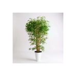 ERHAN FLOWERS ERH-B-1222 -Extra Yoğun Yapraklı Salon Bitkisi Yapay Bambu Ağacı 150 Cm