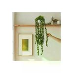 ERHAN FLOWERS ERH-S-S-1000 Elite Yapay Çiçek Mini Saksıda 80 Cm Yoğun Yapraklı Koyu Yeşil Okaliptus Sarkıt
