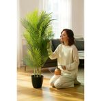 ERHAN FLOWERS mını.areka Lüx Yapay Areka Bambu Ağacı Çift Renk 140 Cm 40 Yaprak