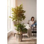 ERHAN FLOWERS Yapay Çiçek metal Saksıda Benjamin Salon Balkon Ev Ağacı Yeşil Bitkisi Bambu Gövdeli 170-130 cm