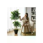 ERHAN FLOWERS ypy.100.bnj Yapay Çiçek Siyah Saksıda Benjamin Salon Balkon Ev Ağacı Yeşil Bitkisi Bambu Gövdeli Dolgun 125 Cm