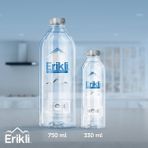 Erikli Premium Şişe 330 ml 48'li