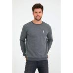Erkek 3 İplik Pamuklu Regular Fit Nakışlı Bisiklet Yaka Basic Sweatshirt
