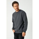 Erkek Antrasit Basic Bisiklet Yaka Regular Fit Normal Kesim 2 İplik Sweatshirt
