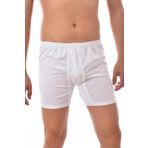 Erkek Arjantin Boxer 3 Adet 0006