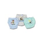 Erkek Bebek Alıştırma Külotu, ASORTI, 2-4 Yaş