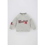 Erkek Bebek Baskılı Bisiklet Yaka İçi Yumuşak Tüylü Sweatshirt