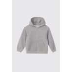 Erkek Bebek Fermuarlı Gri-Melanj Sweatshirt 5 Yaş (110 cm)
