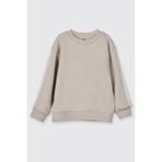 Erkek Bebek Kol Üstü Şerit Detaylı Taş Sweatshirt 3 Yaş (98 cm)