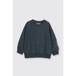 Erkek Bebek Yumuşak Dokulu Petrol Sweatshirt 5 Yaş (110 cm)