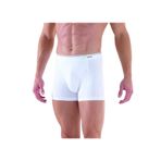 Erkek Beyaz Boxer 9673