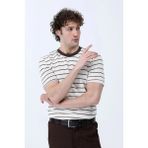 Erkek Bisiklet yaka Pamuklu Çizgili t-Shirt Kahverengi - 26Y 4039
