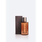 Erkek Brown Hediye Kutulu Erkek Parfüm 100 ml B009122