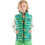 Erkek Çocuk Dinozor Baskılı Trend Şişme Yelek Ak216263, Yeşil, 7 Yaş