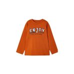 Erkek Çocuk Kabartma Baskılı Sweatshirt 4020 30 06YAŞ