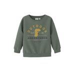 Erkek Çocuk Sweatshirt .13231082