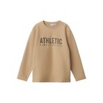Erkek Çocuk Sweatshirt 13231087