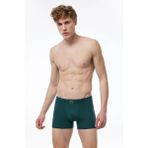 Erkek Desenli Pamuk Elastan Boxer 1M074