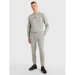 Erkek Essential Regular Fit Eşofman Altı - Gri