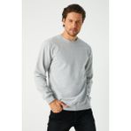 Erkek Gri Basic Bisiklet Yaka Regular Fit Normal Kesim 2 İplik Sweatshirt