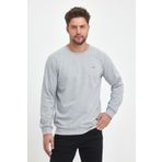 Erkek Gri Bisiklet Yaka Nakış Detaylı Regular Fit Sweatshirt