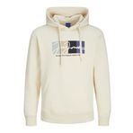 Erkek Kapüşonlu Sweatshirt 12262421 KREM S
