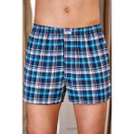 Erkek Karışık Desen Poplin Boxer ELF568BER1052