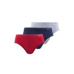 Erkek Kırmızı 3 Adet Pamuklu Slip Külot 9672
