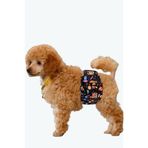 Erkek köpek çiş bezleri, 3'lü Avantajlı paket, 1 paket 3 farklı desen (Space, Medium)