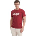 Erkek Slim Fit Bisiklet Yaka Pamuklu Baskılı Tişört 4230 XL BORDO