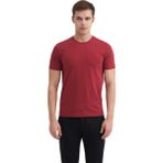 Erkek Slim Fit Bisiklet Yaka Pamuklu Düz Tişört 4623 - Bordo