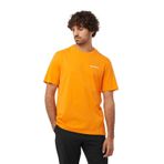Erkek T-Shirt Graphic Perf Ss Tee M LC2219700