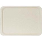 Erkoplas ERKO0107 Polyester 37x53 cm Anti Bakteriyel Bej Servis Tepsisi