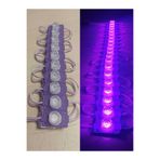 ERM 12v 1.5w Manda Tip Modül Led – Mor Işık | Su Geçirmez | Tabela Ve Dış Mekan Aydınlatma (10 ADET)