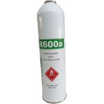 Ermiya Klima Gazı Refrigerant R600A 420G.