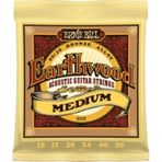 Ernie Ball 2002 13-56 Earthwood Medium Akustik Gitar Teli 80/20 Bronze