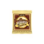 Ernie Ball P02002 Akustik Gitar Tel Seti