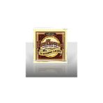 Ernie Ball P02010 Akustik Gitar Tel Seti